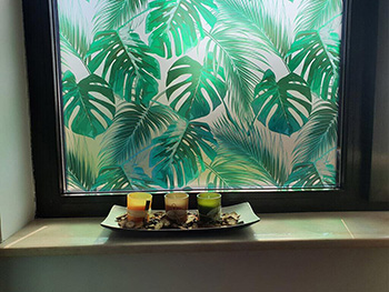 Folie geam autoadezivă Palmas, Folina, model frunze verzi, efect de sablare, 100 cm lăţime