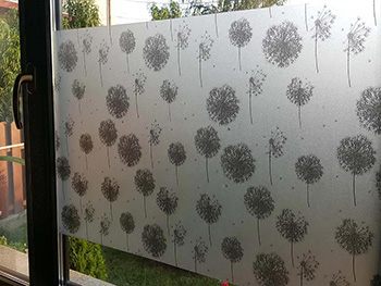 Folie geam autoadezivă Păpădie neagră, Folina, model floral, 90 cm lăţime