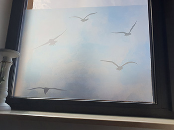 Folie geam autoadezivă Păsări în zbor, Folina, efect de sablare, albastră, 100 cm lăţime