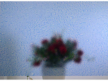 folie-geam-decorativa-bule-albastre-2703
