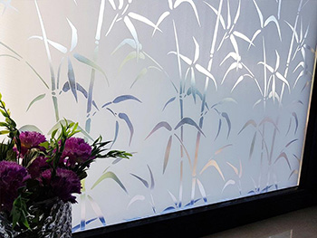 Folie geam autoadezivă Bamboo, d-c-fix, imprimeu frunze bambus, translucid, 67 x 200 cm