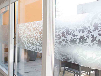 Folie geam autoadezivă Spring, d-c-fix, imprimeu floral, translucid, 67.5 x 200 cm