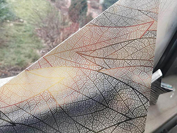 Folie geam autoadezivă, Folina, model frunze, 100 cm lăţime