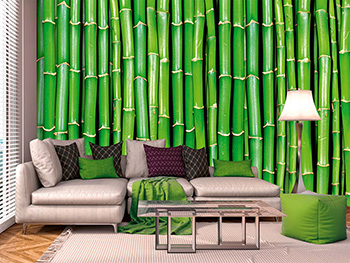 Fototapet Bamboo, Dimex, bambus verde, 375x250 cm