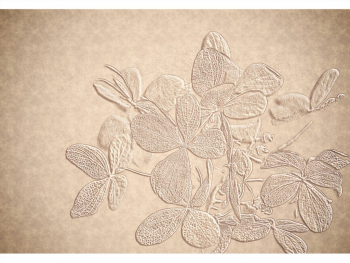 fototapet-floral-bej-2344