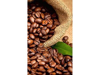 fototapet-bucatarie-boabe-cafea-150-250-1949