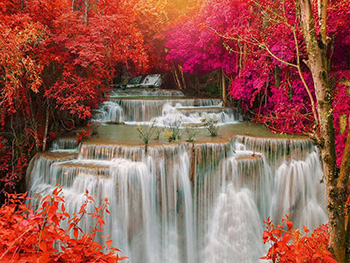 fototapet-peisaj-cascada-rain-forest-2369