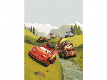 fototapet-camera-baieti-cu-masini-cars-6106