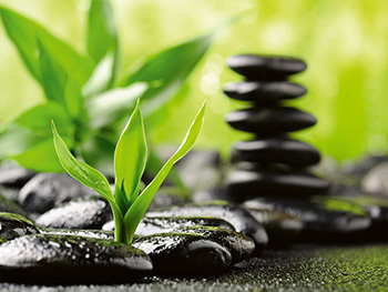 fototapet-dimex-zen-stones-375-250-cm-9028