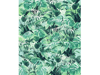 fototapet-frunze-evergreen-9849