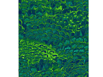 fototapet-feathers-9840