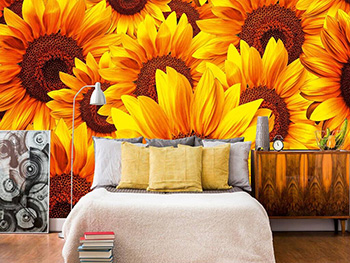 Fototapet Floarea Soarelui, Dimex, galben, 375x250 cm