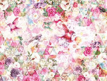 Fototapet Prisma, Komar, multicolor, 368x248 cm