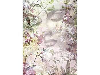 Fototapet abstract Sense, Komar, model floral, dimensiune fototapet 184x248 cm fototapet-abstract-sense-7551