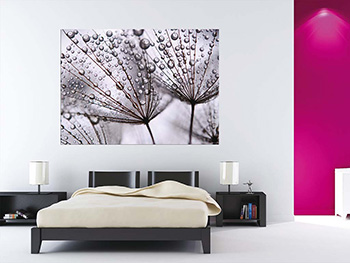 Fototapet After rain, AGDesign, decorațiune florală gri, dimensiuni fototapet 160x110 cm