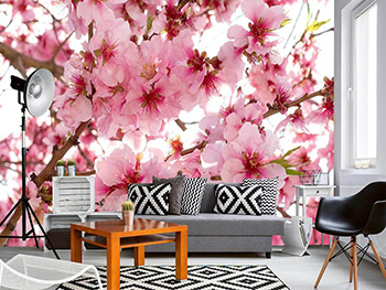 Fototapet floral, Dimex, Apple Blossom, 375x250 cm