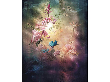 Fototapet floral Enlightenment, Komar, model multicolor, dimensiune fototapet 200x250 cm fototapet-floral-enlightenment-4810