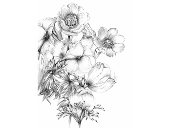 Fototapet floral Embroidery, Komar. model grafic, 184x248 cm