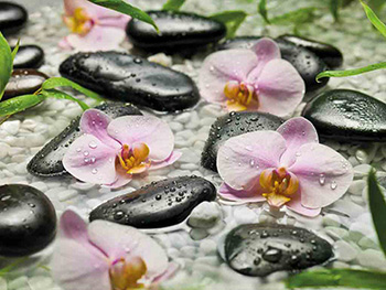 fototapet-floral-orhidee-roz-wellness-8747