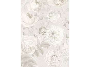 Fototapet trandafiri Nuance, Komar, culoare crem, dimensiune fototapet 184x248 cm