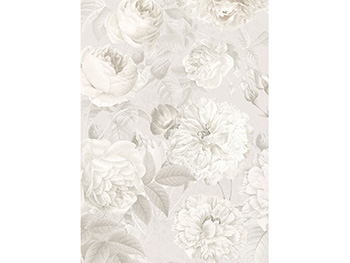 Fototapet trandafiri Nuance, Komar, culoare crem, dimensiune fototapet 184x248 cm fototapet-floral-alb-nuance-1863