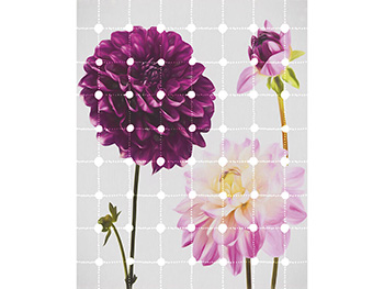 Fototapet floral Flowers and Dots, Komar, culoare mov, dimensiune fototapet 200x250 cm fototapet-floral-flowers-and-dots-2594