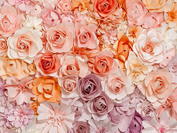 Fototapet floral, WG, Flowers, multicolor, 366x254 cm