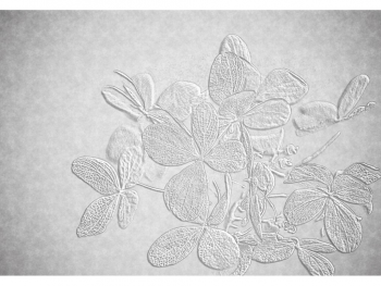 fototapet-floral-gri--1356