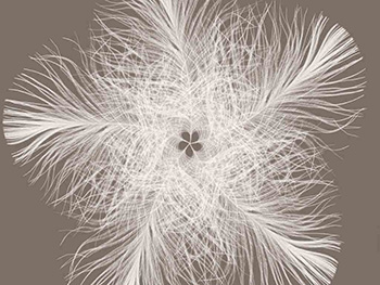 Fototapet cu model abstract Federstern, Komar, decoraţiune perete dormitor, 368 x 248 cm fototapet-federstern-4399