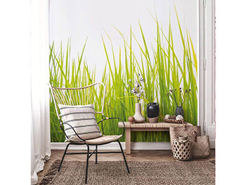 Fototapet High Grass, WG, model iarbă verde, 240x260 cm