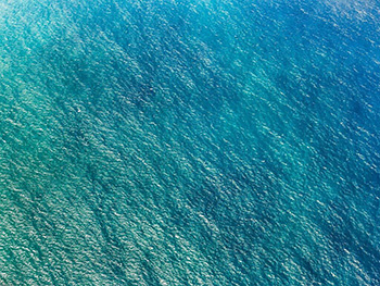 Fototapet Blaupause, Komar, albastru, 400x250 cm