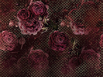fototapet-rouge-intense-7015