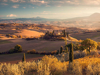fototapet-peisaj-toscana-gold-4469