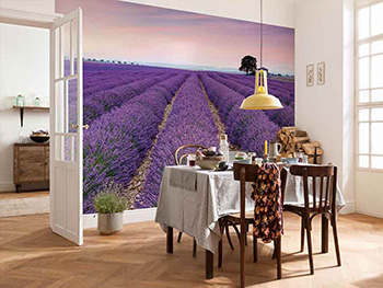 Fototapet floral Provence, Komar, peisaj câmp de lavandă, 400x260 cm