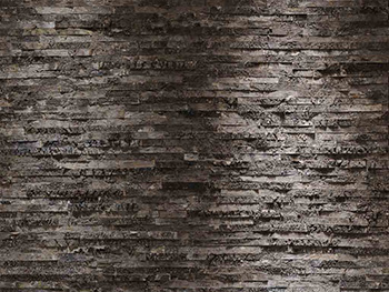 Fototapet Komar Birkenrinde, imitaţie zid de lemn gri închis cu aspect vintage, dimensiuni 368 x 254 cm