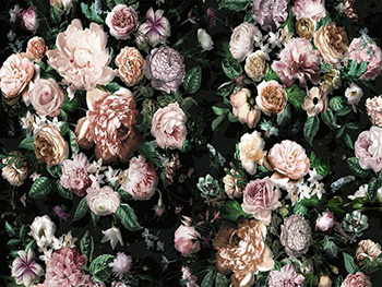 Fototapet Victoria Black, Komar, imprimeu floral colorat pe fundal negru, 400x250 cm fototapet-victoria-black-1446