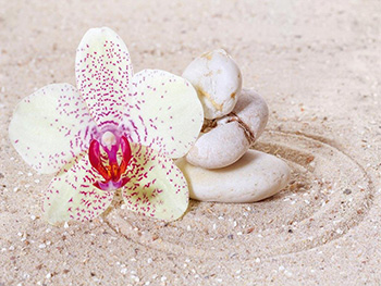 Fototapet floral Relaxation Sand, Dimex, model orhidee, 375x250 cm