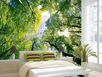 fototapet-padure-dimex-trees-365-250-cm-1791