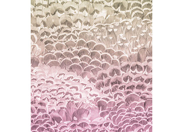 fototapet-pale-feathers-9898