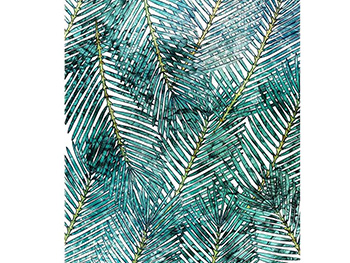 fototapet-palm-canopy-9932