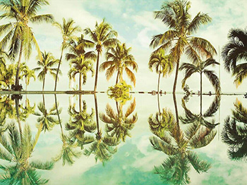 fototapet-peisaj-tropical-key-west-9292