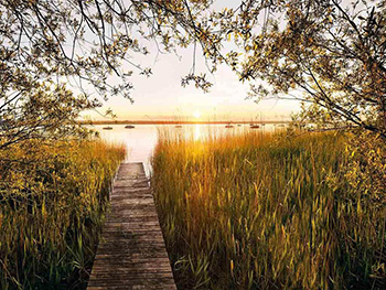 fototapet-peisaj-lakeside-2456