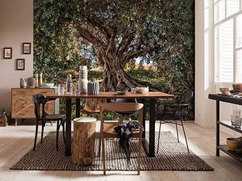 Fototapet peisaj Olive Tree, Komar, imaginea unui măslin, 368x254 cm