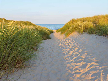 Fototapet plajă Sandy Path, Komar, decorațiune cu peisaj multicolor, fototapet 368x254 cm