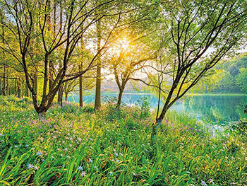 Fototapet peisaj Spring Lake, Komar, imagine cu natura, 368x254 cm