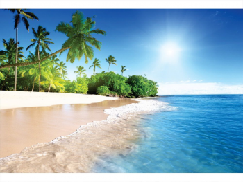 fototapet-peisaj-plaja-exotica-carribean-beach-6747