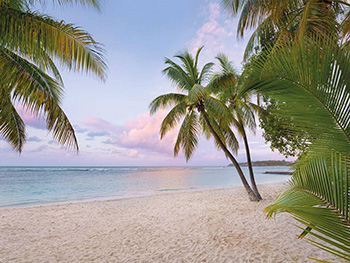 Fototapet Paradise Morning, Komar, peisaj plajă cu palmieri, 368x248 cm