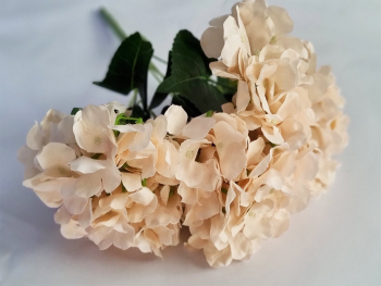 hortensie-crem-artificiala-4404