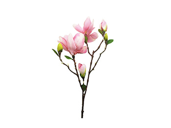 magnolie-artificiala-50-cm-inaltime-8272