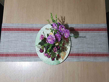napron-masa-rosu-Dora-3956